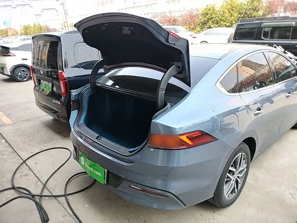 BYD Qin PLUS 2024 Glory Edition EV 420KM Leading фото 19