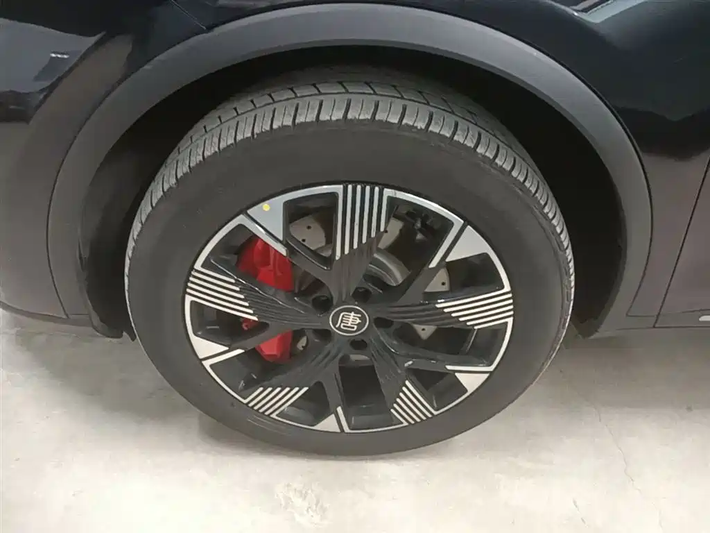 BYD Tang New Energy 2024 EV Glory Edition 730KM Premium фото 23