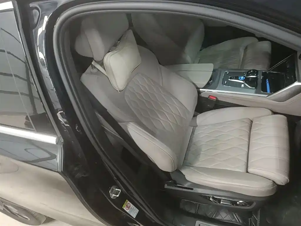 BYD Tang New Energy 2024 EV Glory Edition 730KM Premium фото 25