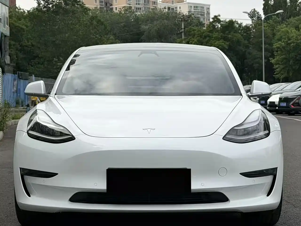 Tesla Model 3 (Import) 2019 Long Range All-Wheel Drive Edition фото 2