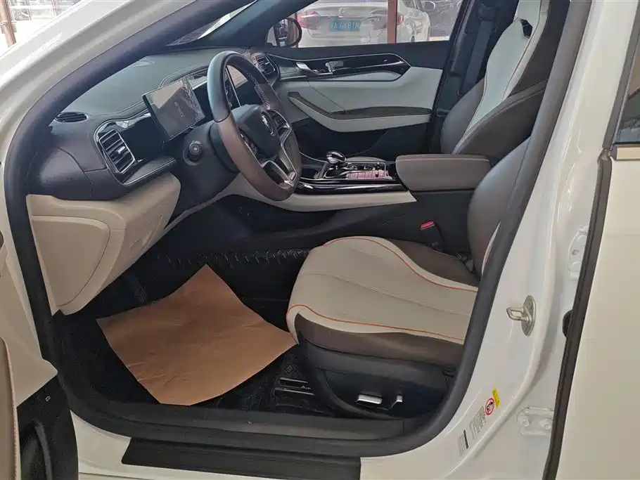 BYD Qin PLUS 2023 Champion Edition EV 510KM Advanced Type фото 9