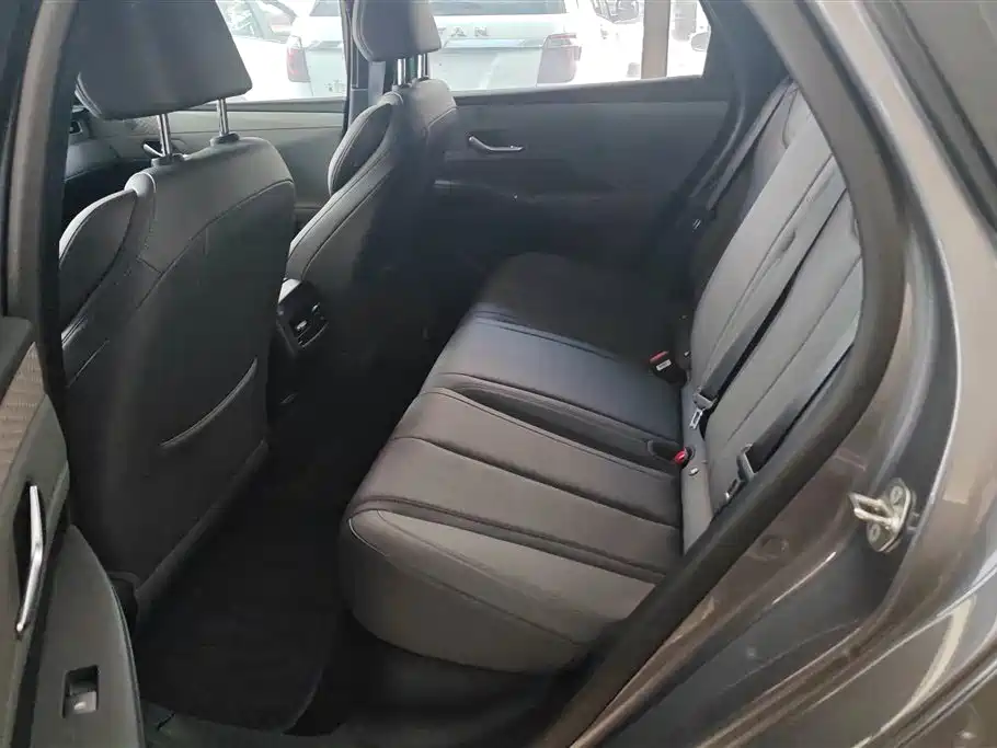 BYD Qin PLUS 2025 DM-i Smart Drive 55KM Leader фото 11