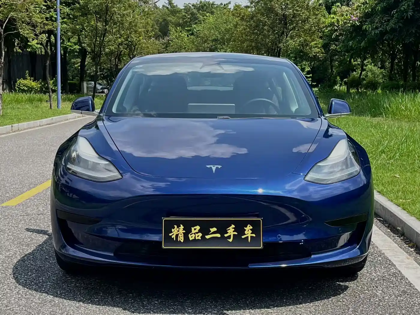 Tesla Model 3 2020 2019 Standard Range Rear-Wheel Drive Upgrade