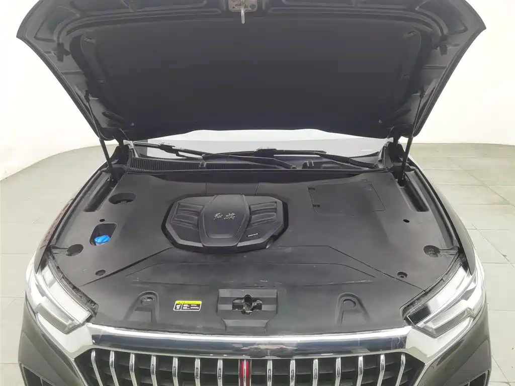 Hongqi HS5 2019 2.0T Smart Connect Enjoy Edition фото 6