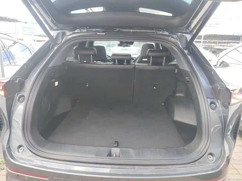 Changan Oshan Z6 2023 2022 Blue Whale 1.5T DCT Intelligent Leader