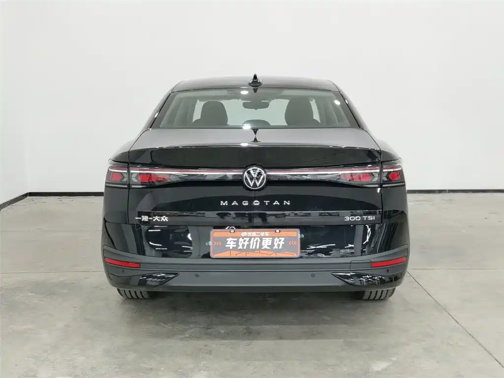 Volkswagen Magotan 2024 300TSI DSG Premium Edition фото 4