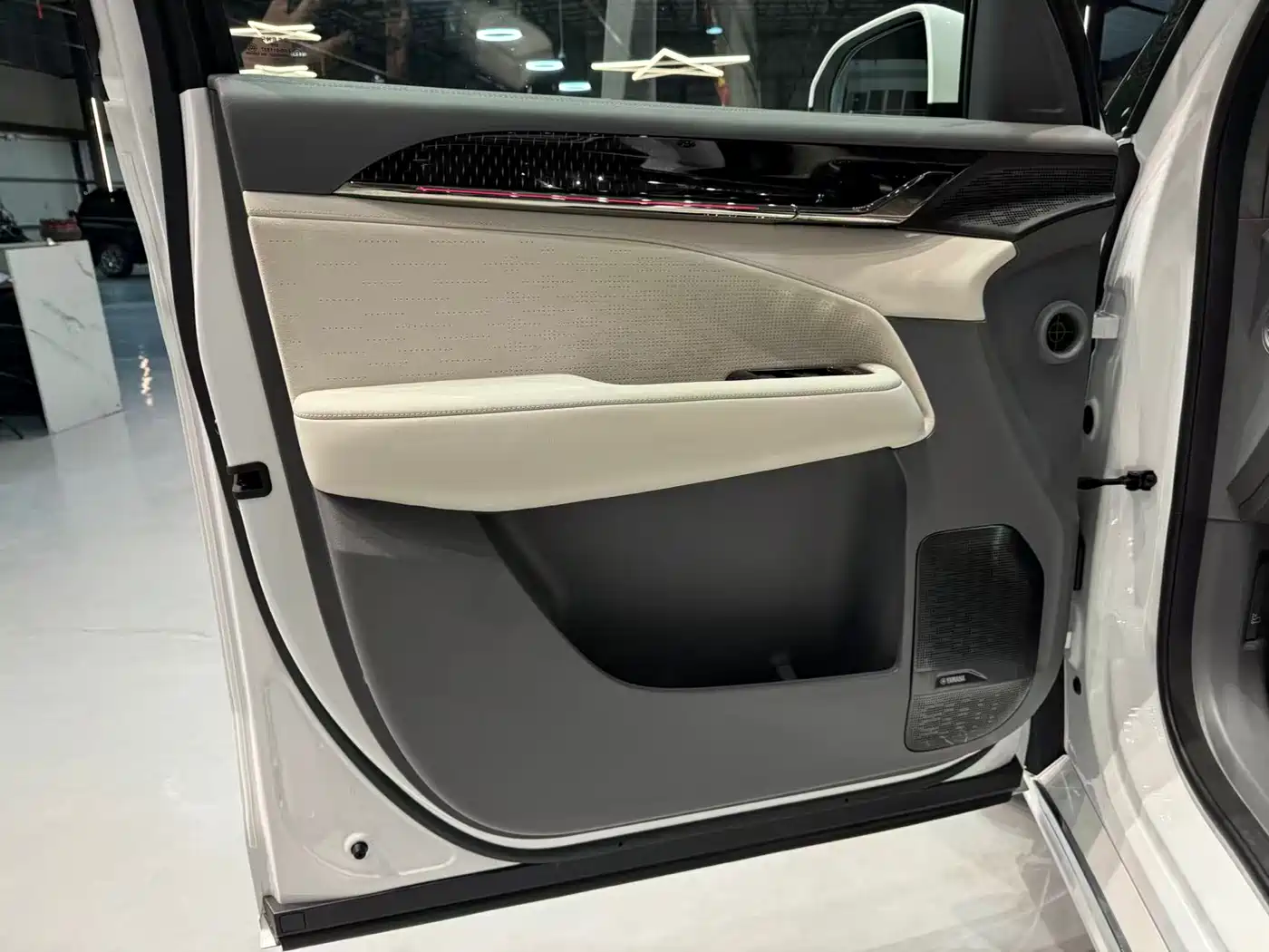 ZEEKR EXTREME KRYPTON 009