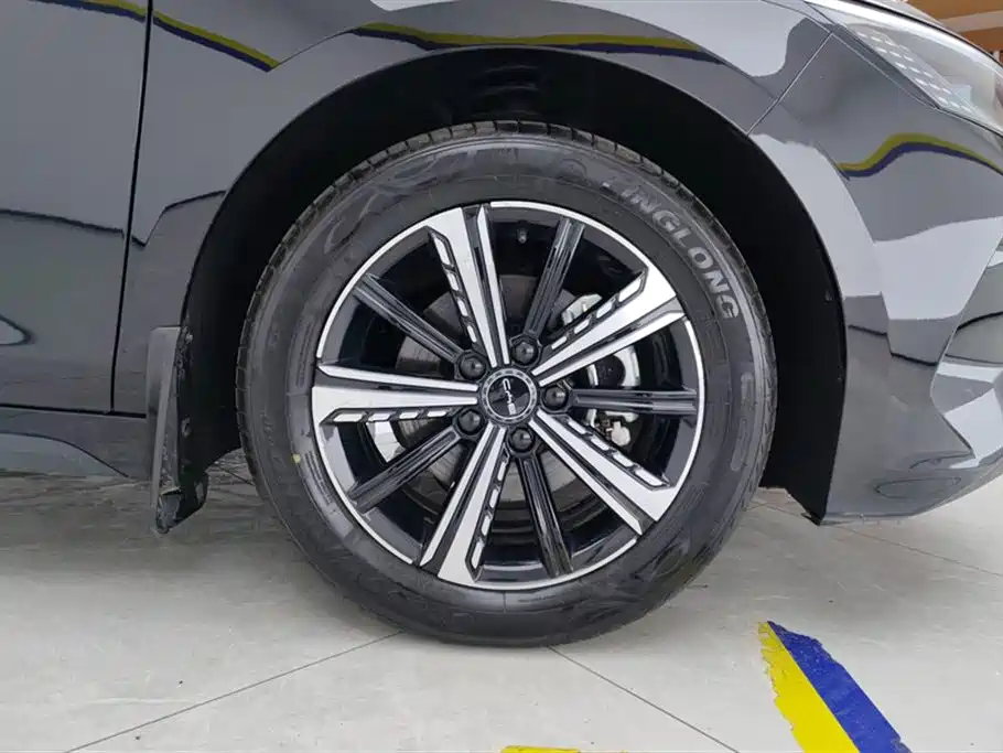 BYD Destroyer 05 2024 Glory Edition DM-i 120KM Luxury фото 6