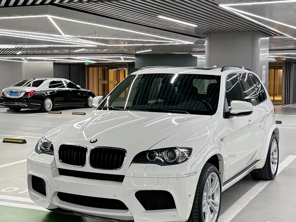 BMW X5 M 2010 X5 M фото 6