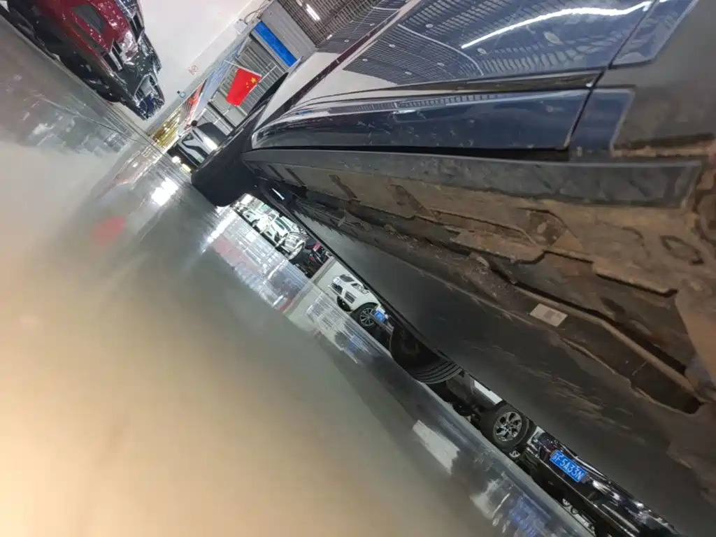 BYD Dolphin 2026 2025 420km Freedom Edition