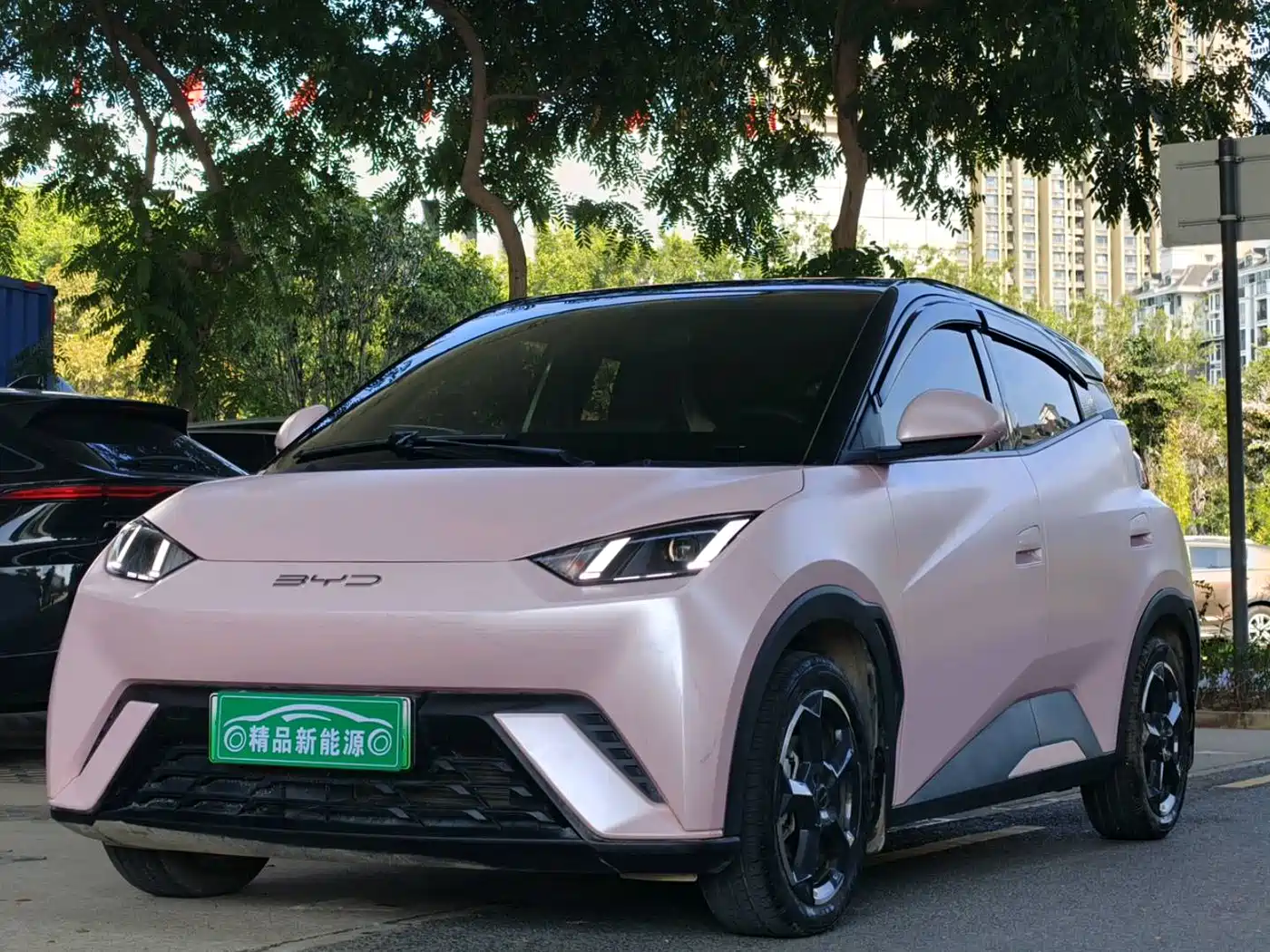 BYD Seagull 2023 Freedom Edition