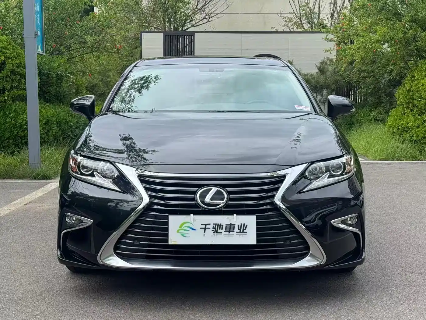 Lexus ES 2015 250 Elegance Edition фото 2
