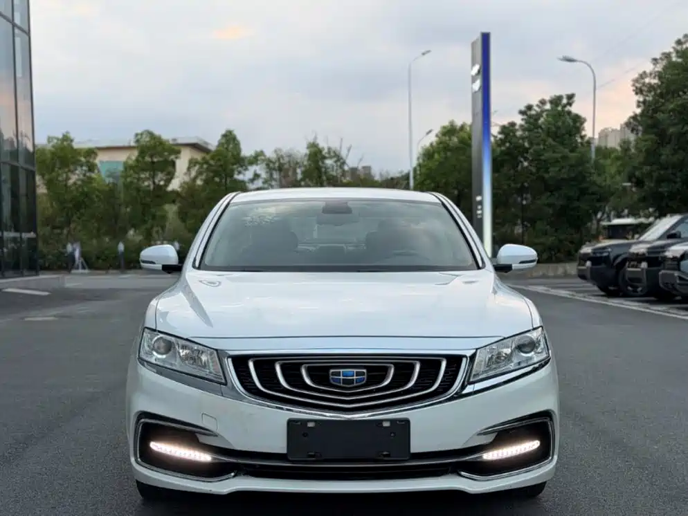 Фото 2 - Geely Borui