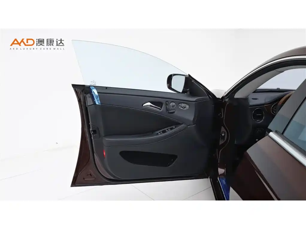 Mercedes-Benz CLS 2009 CLS 300 фото 10