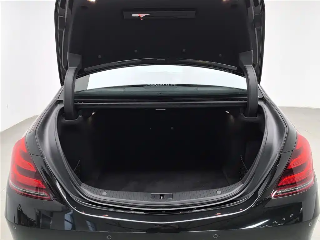 Mercedes-Benz S-Class 2020 S 350 L Business Edition Collector's Version фото 16