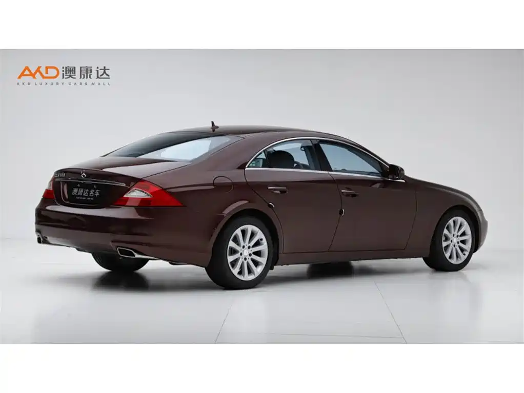 Mercedes-Benz CLS 2009 CLS 300 фото 3