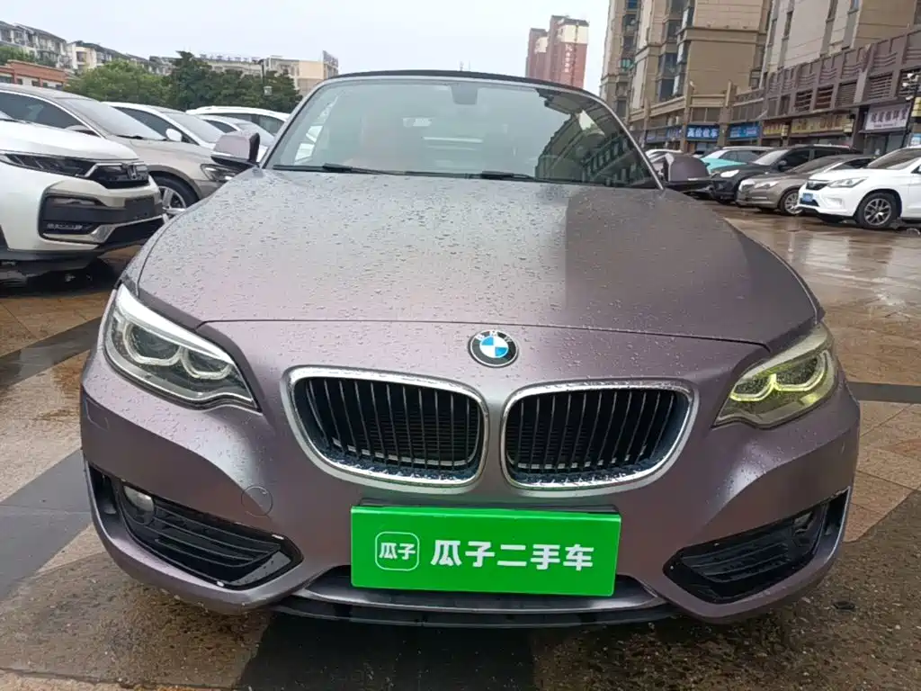Photo 3 - BMW 2 Series (Import)