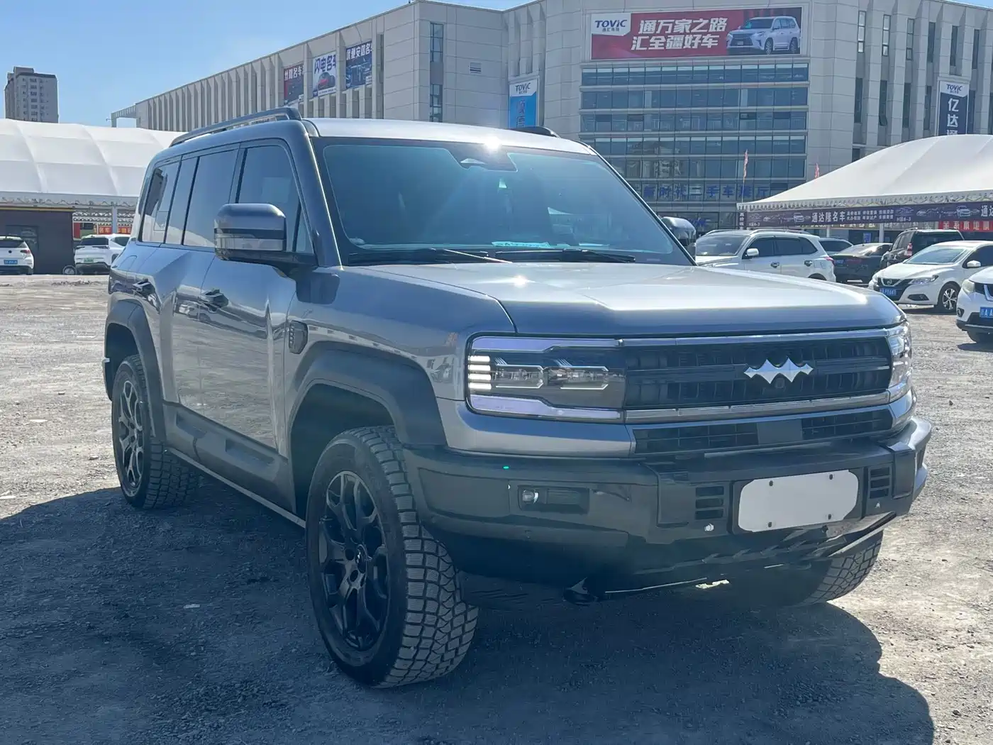 FANG CHENG BAO LEOPARD 5