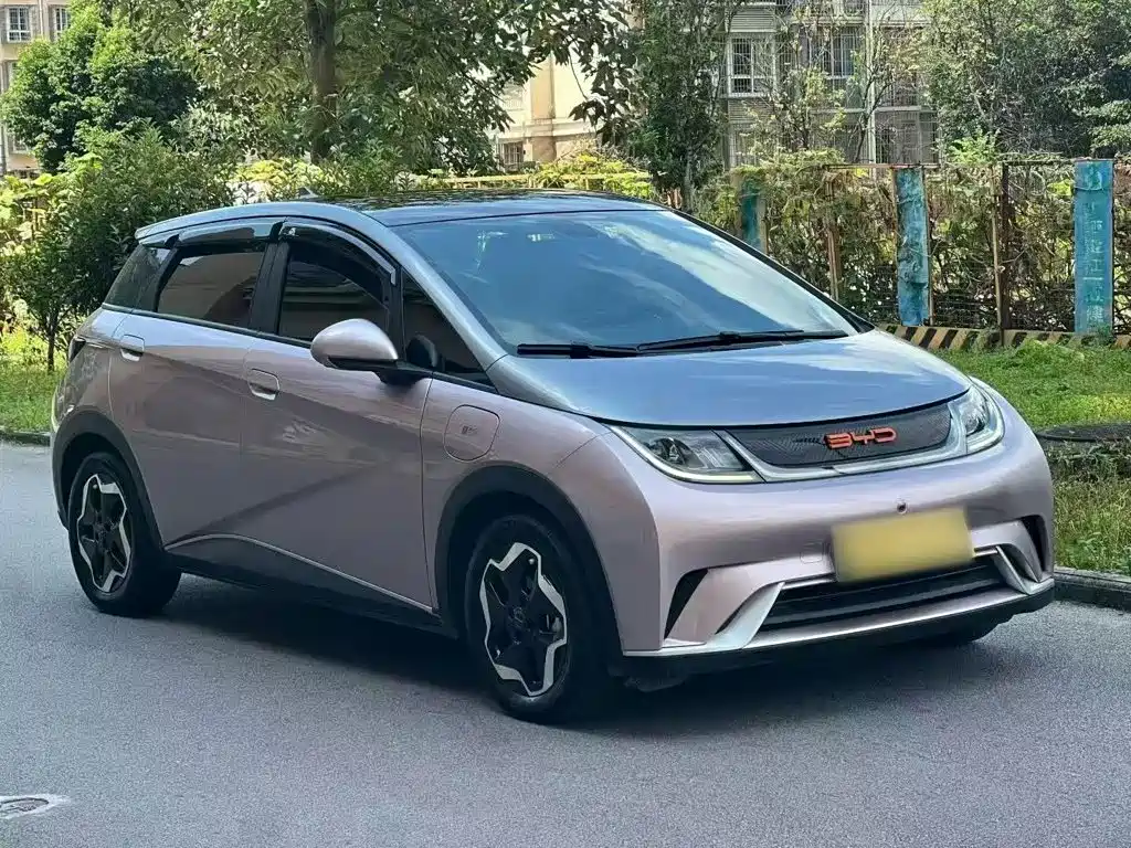BYD Dolphin 2022 2021 Model 405km Fashion Edition