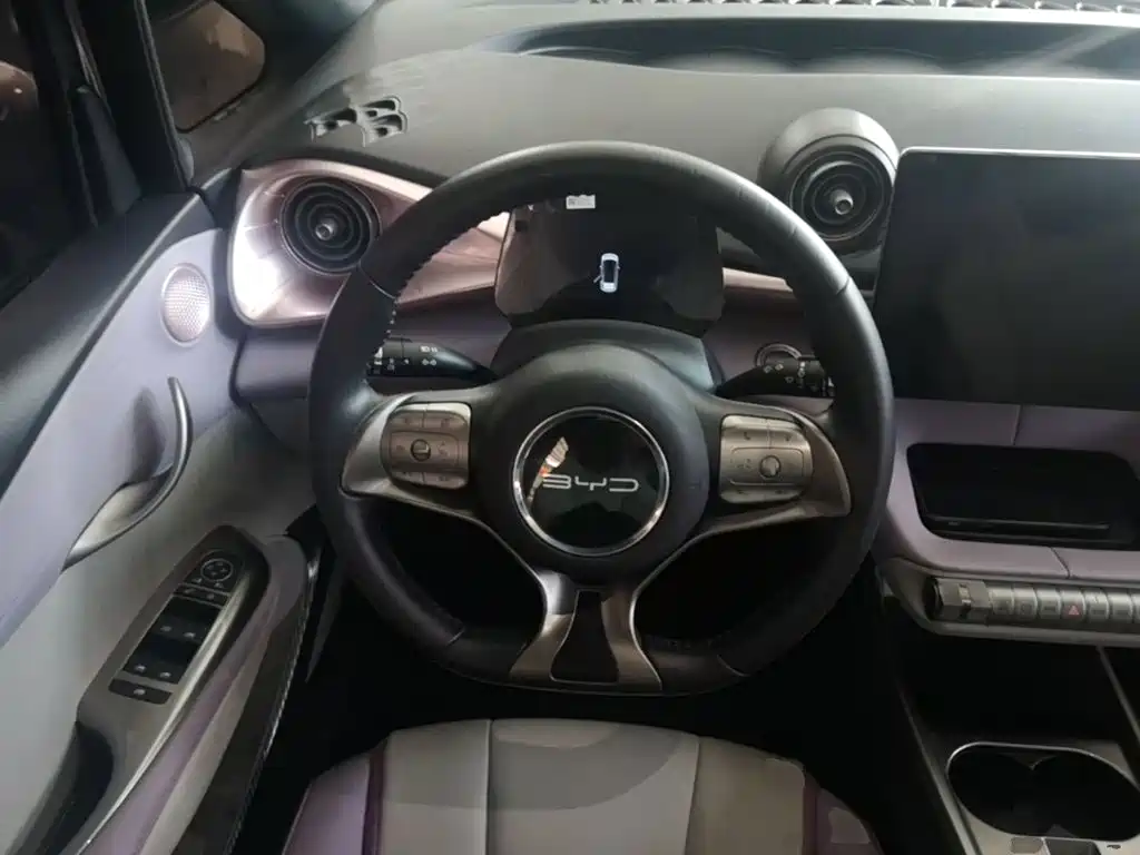 BYD Dolphin 2022 2021 Model 405km Fashion Edition