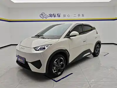 BYD Seagull