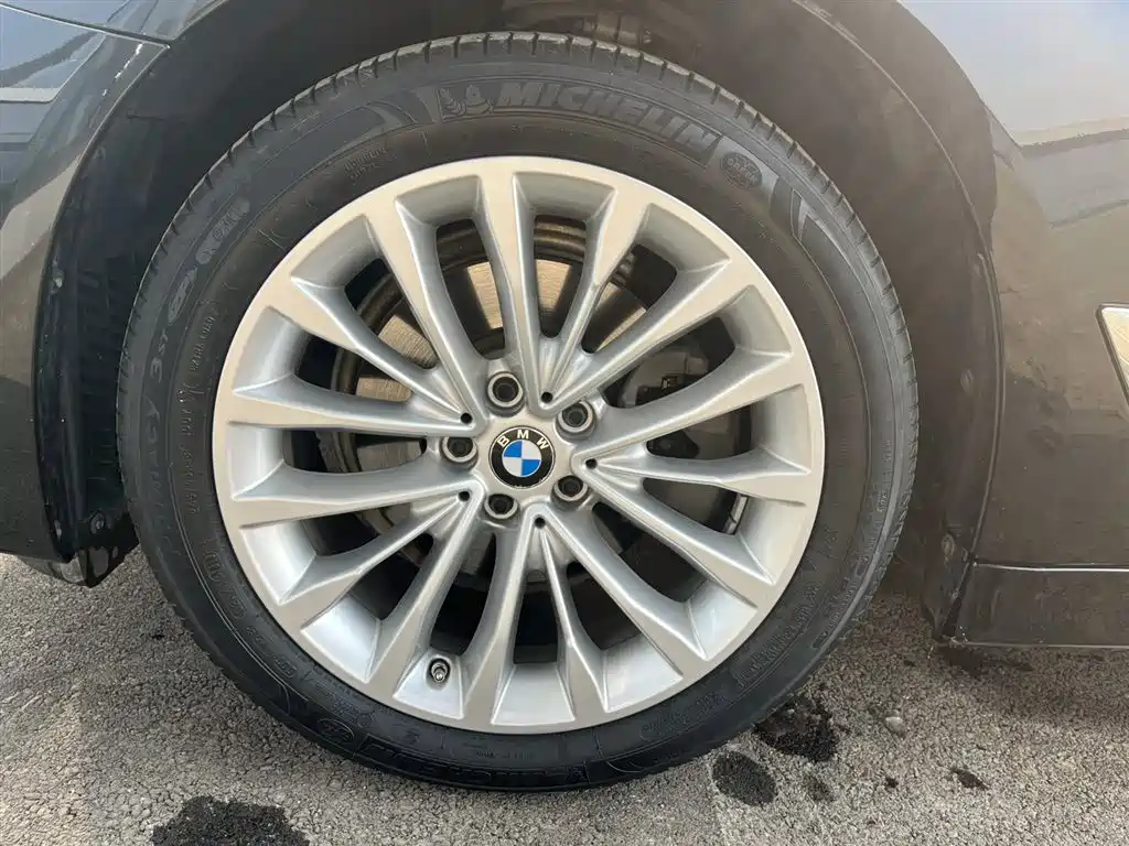 BMW 5 Series 2020 525Li Luxury Package фото 7