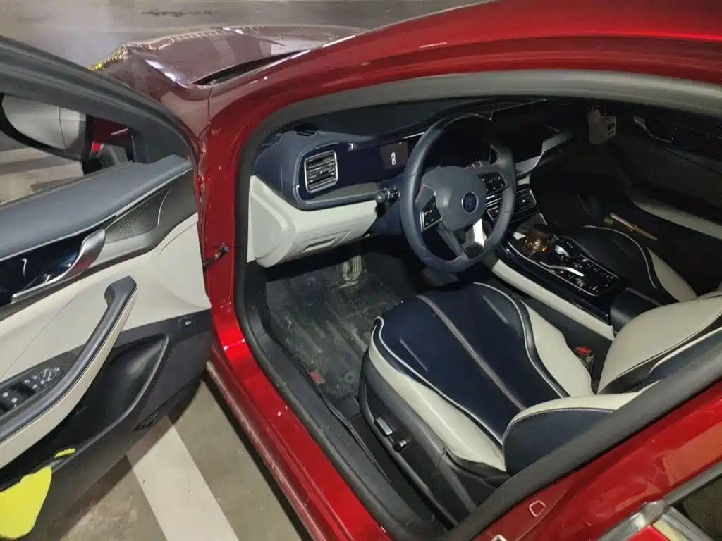 BYD Qin PLUS 2021 DM-i 55KM Flagship фото 13
