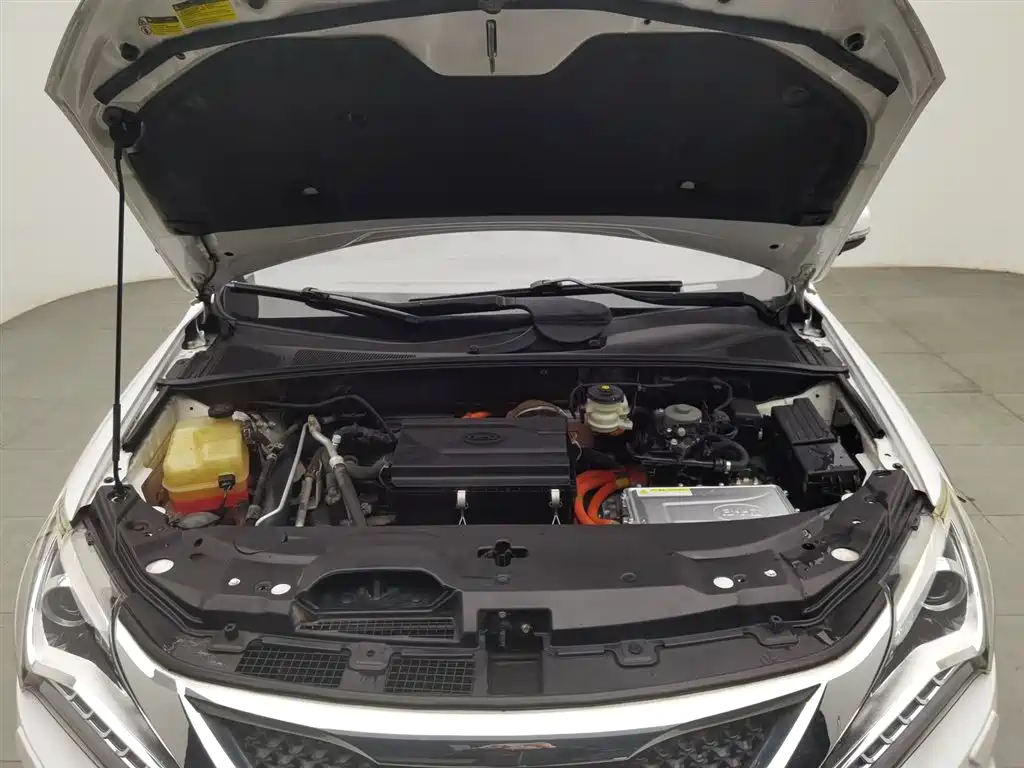 BYD Tang New Energy 2015 2.0T AWD Premium фото 6