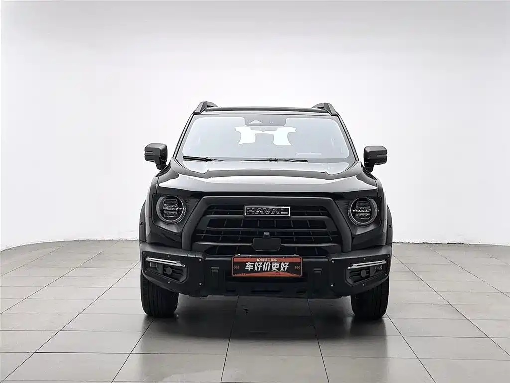 Haval Big Dog 2024 2.0T DCT Chinese Rural Dog Edition фото 3