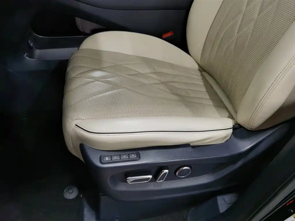 GAC Trumpchi Trumpchi M8 2021 Master Series 390T 4-Seat Premium Edition фото 20