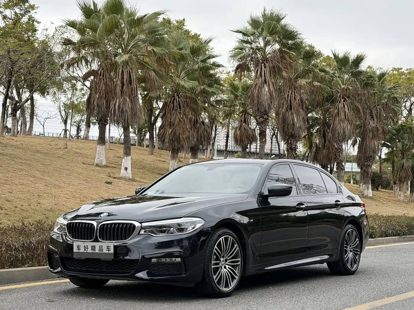 BMW 5 Series 2018 Facelift 530Li Leading M Sport Package