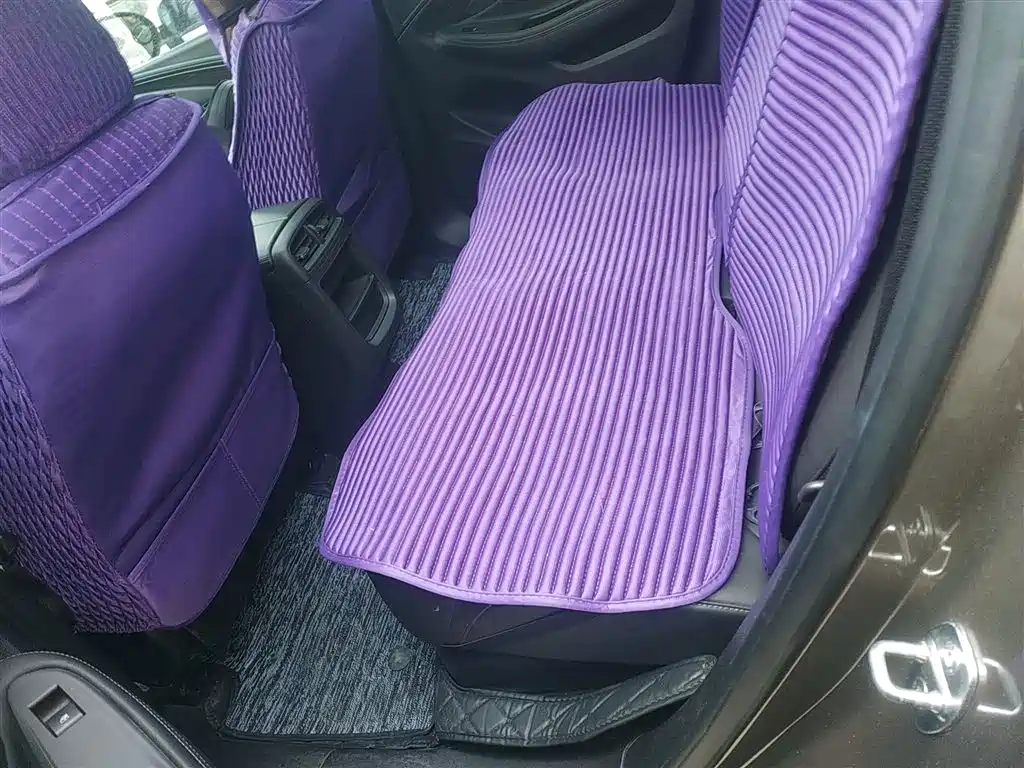 Buick Envision Plus 2019 20T 2WD Elite Type China V фото 17