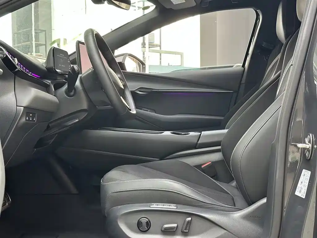 VOLKSWAGEN WITH THE CROWD 06