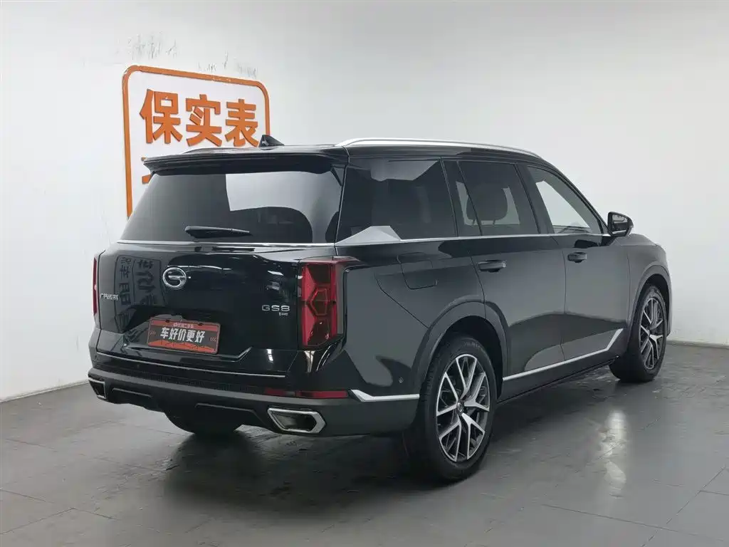 GAC Trumpchi Trumpchi GS8 2022 Pilot Series 2.0TGDI 2WD Premium Edition (7-Seater) фото 2