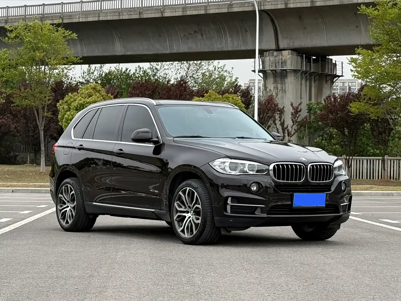 BMW X5 (Import) 2017 xDrive28i фото 3