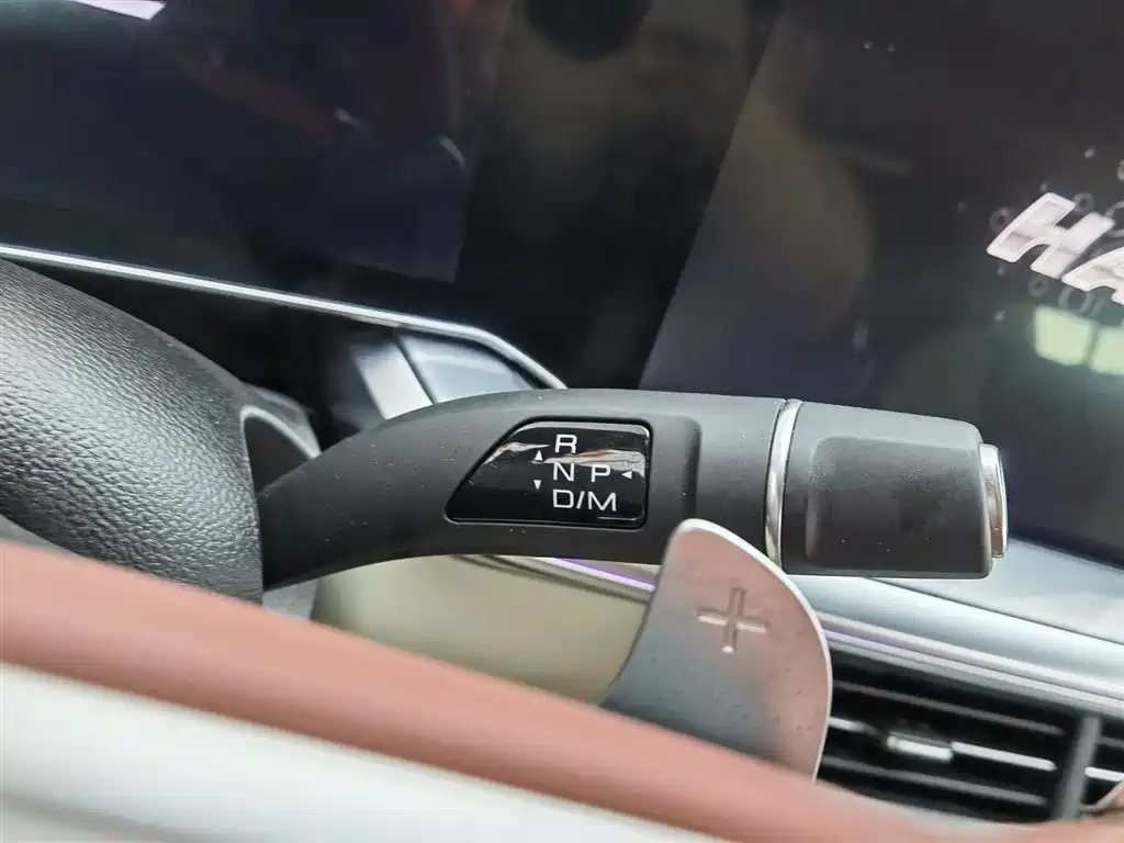 Haval Shenshou 2022 2.0T Smart Premium AWD Edition фото 13