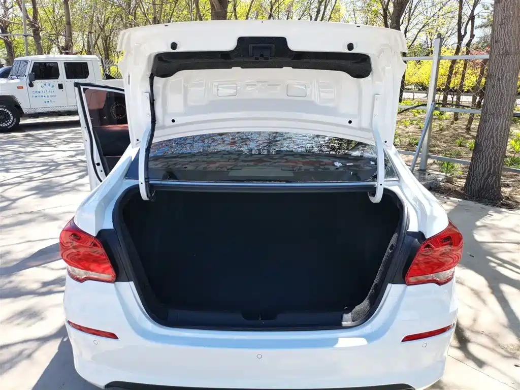 Chevrolet Cavalier 2019 320 Automatic Joy Edition фото 19
