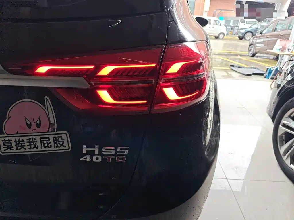 Hongqi HS5 2019 2.0T Smart Connect Enjoy Edition фото 8