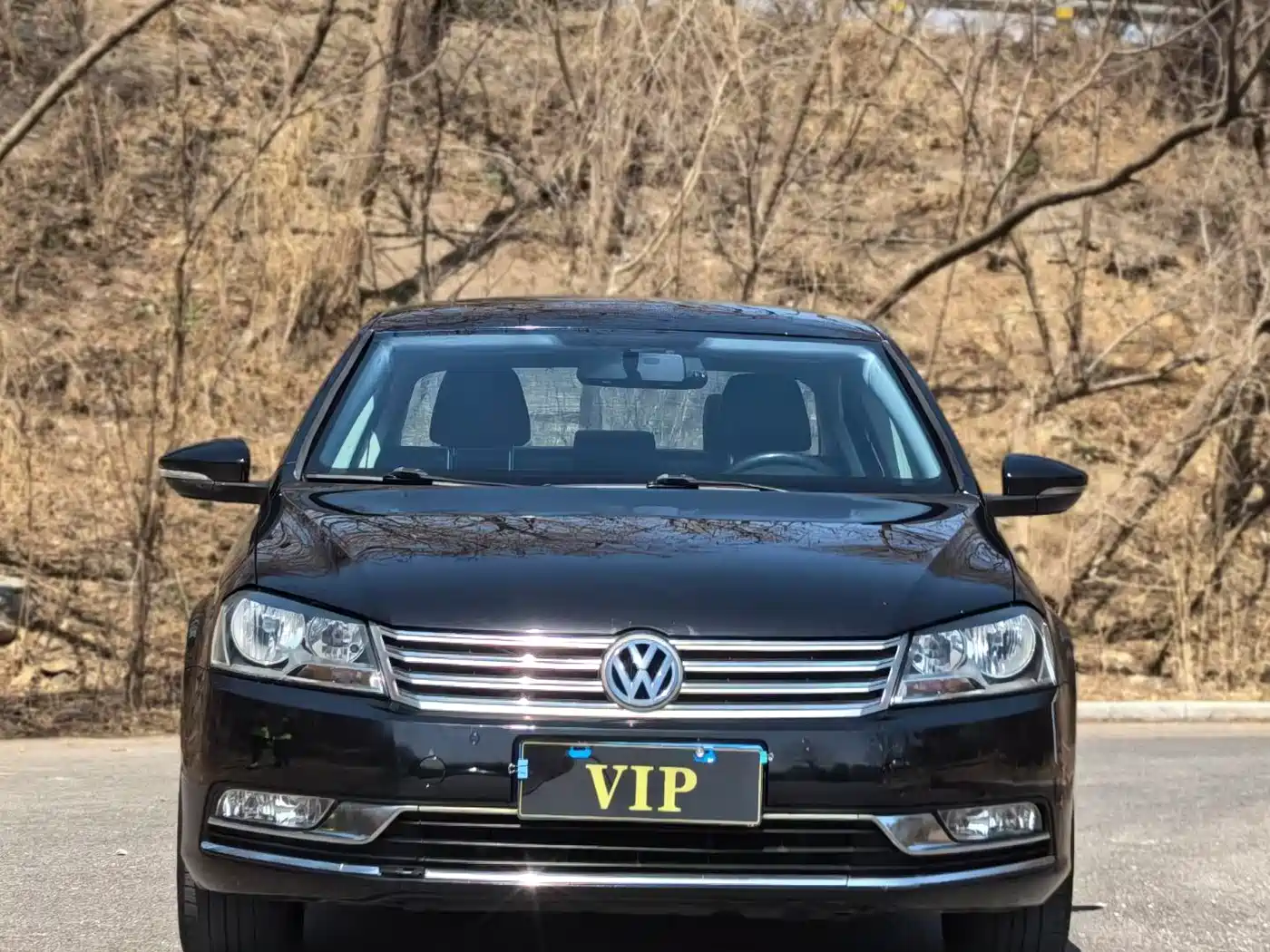 Volkswagen Magotan 2015 1.8TSI Leading фото 2