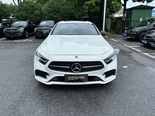 Mercedes-Benz CLS 2021 CLS 300 Sport — фото 2