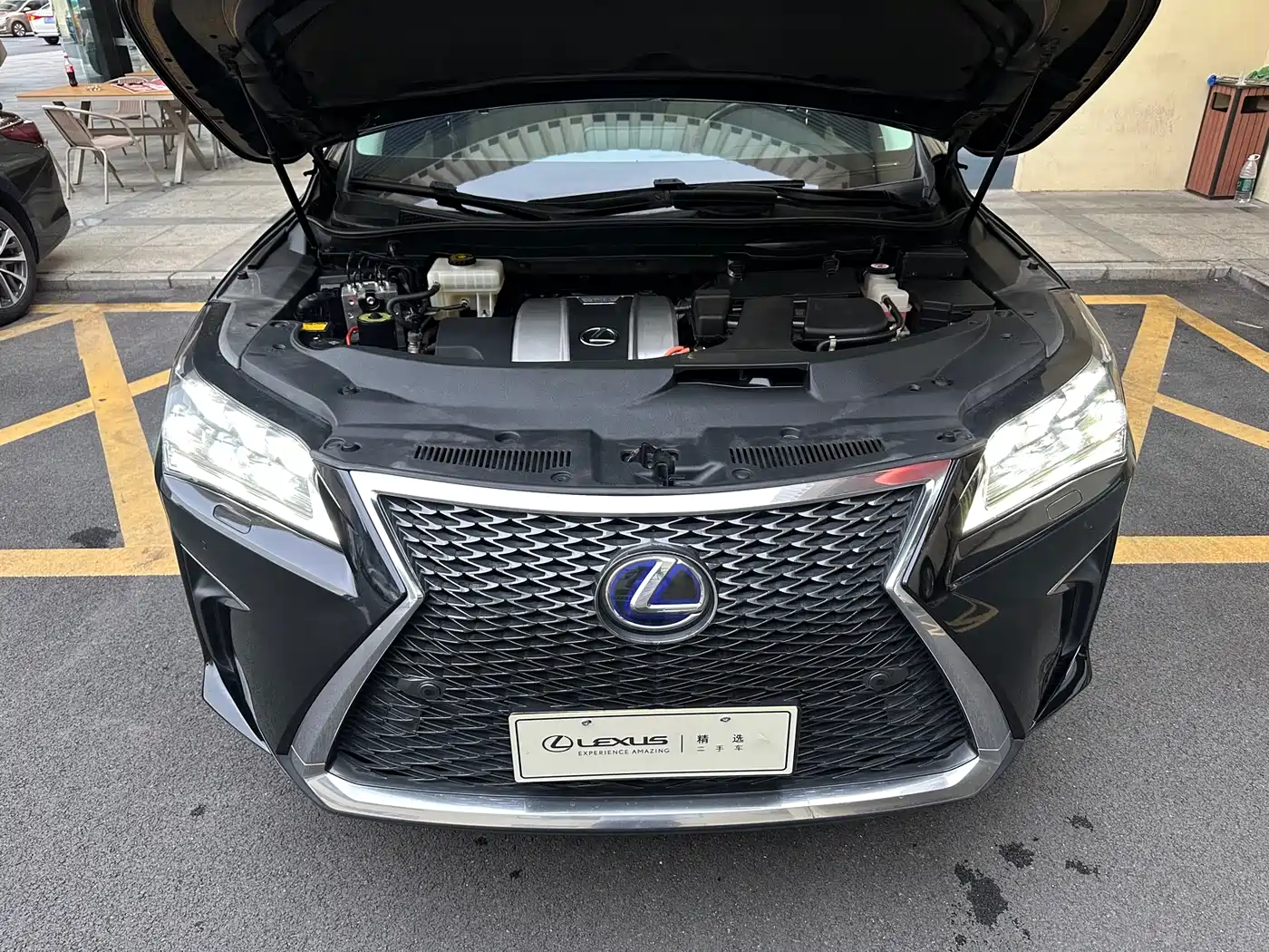LEXUS RX