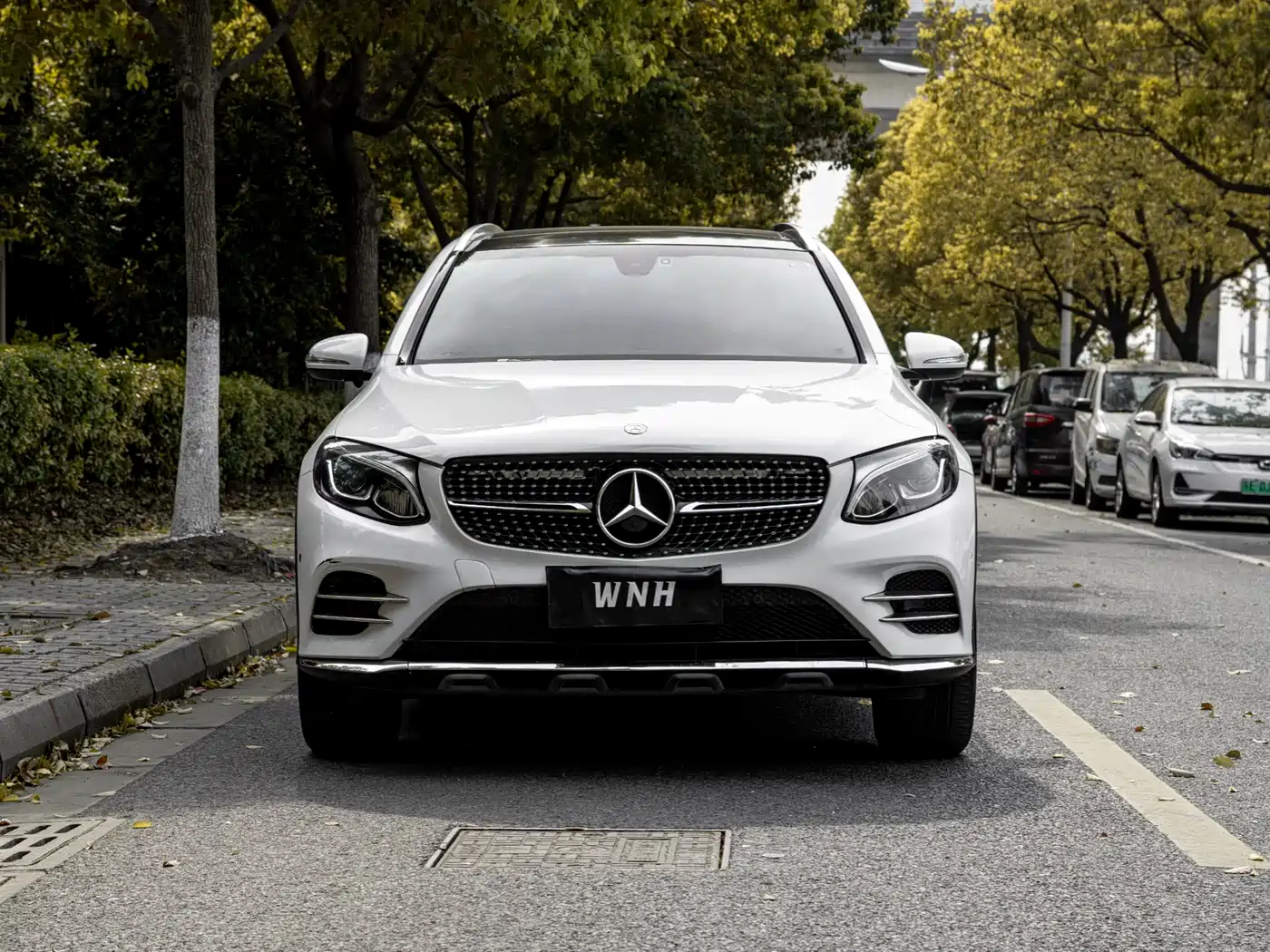 Mercedes-Benz GLC 2017 GLC 200 4MATIC фото 2