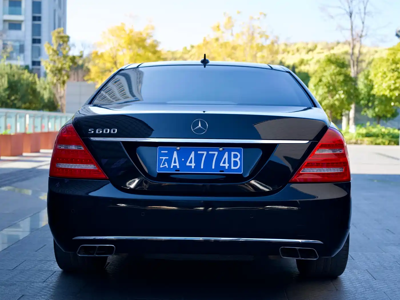Mercedes-Benz S-Class 2010 S 600 L фото 6