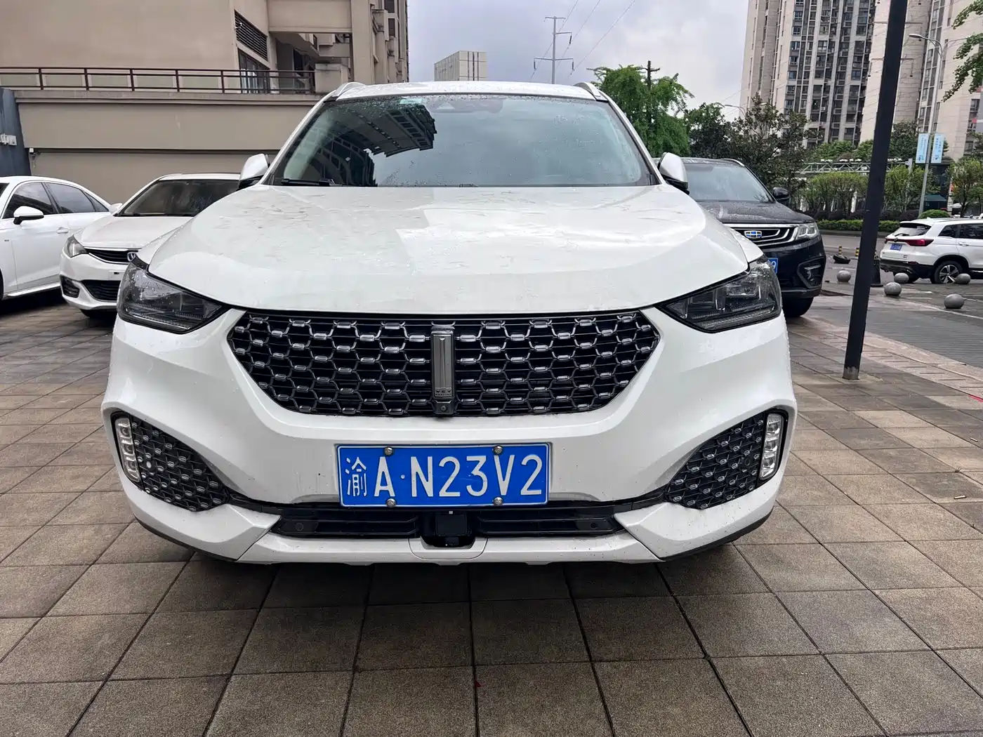 WEI PAI WEI BRAND VV6