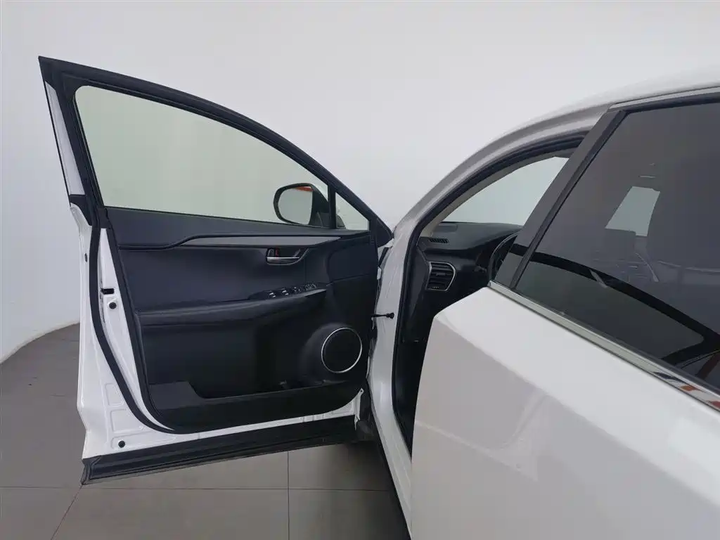 Lexus NX 2018 Model 300 FWD Fengxing Edition фото 8