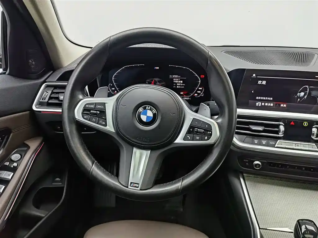 BMW 3 Series 2021 325Li M Sport Night Edition фото 11