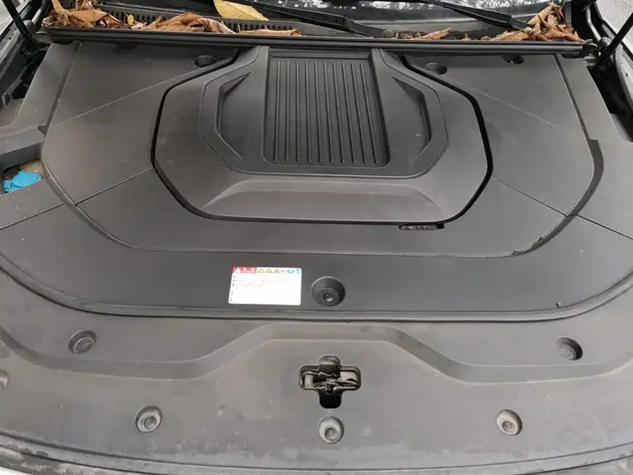 BYD SONGJIANG NEW ENERGY