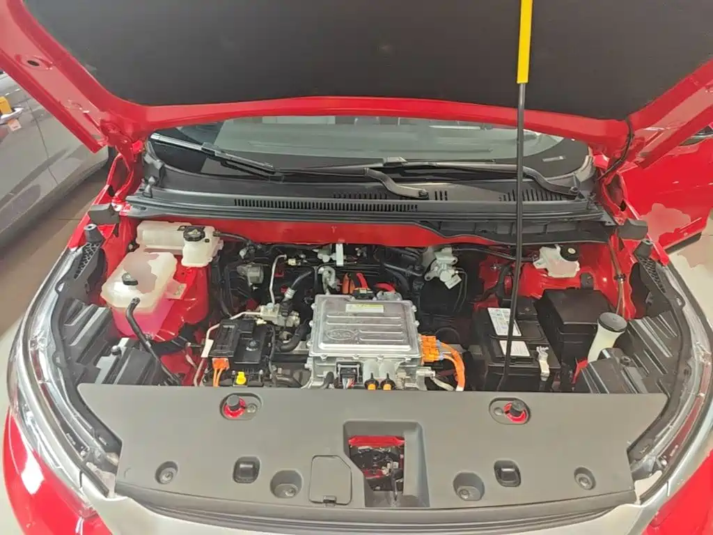 BYD Yuan Pro 2022 2021 401KM Premium Model