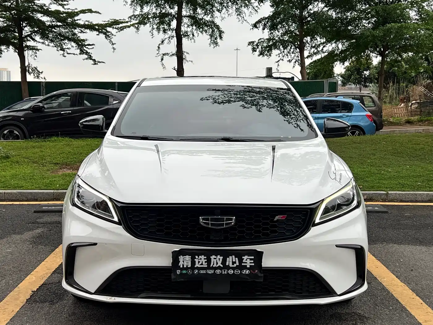 GEELY AUTOMOBILE BINRUI