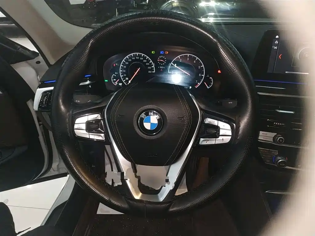 BMW 5 Series 2019 525Li Luxury Package фото 11